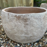 Terracotta Bowl RTfact Flowers 