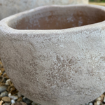 Terracotta Bowl RTfact Flowers 