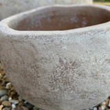 Terracotta Bowl RTfact Flowers 