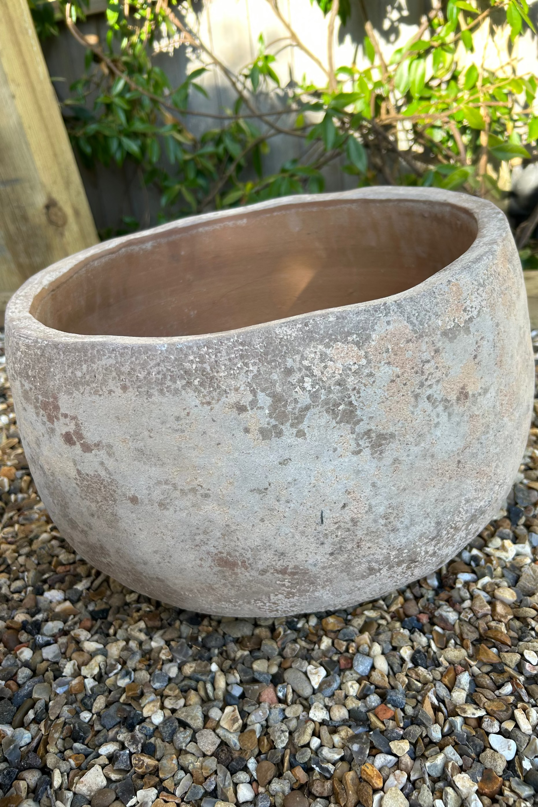 Terracotta Bowl RTfact Flowers 