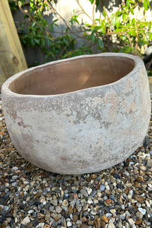 Terracotta Bowl RTfact Flowers 