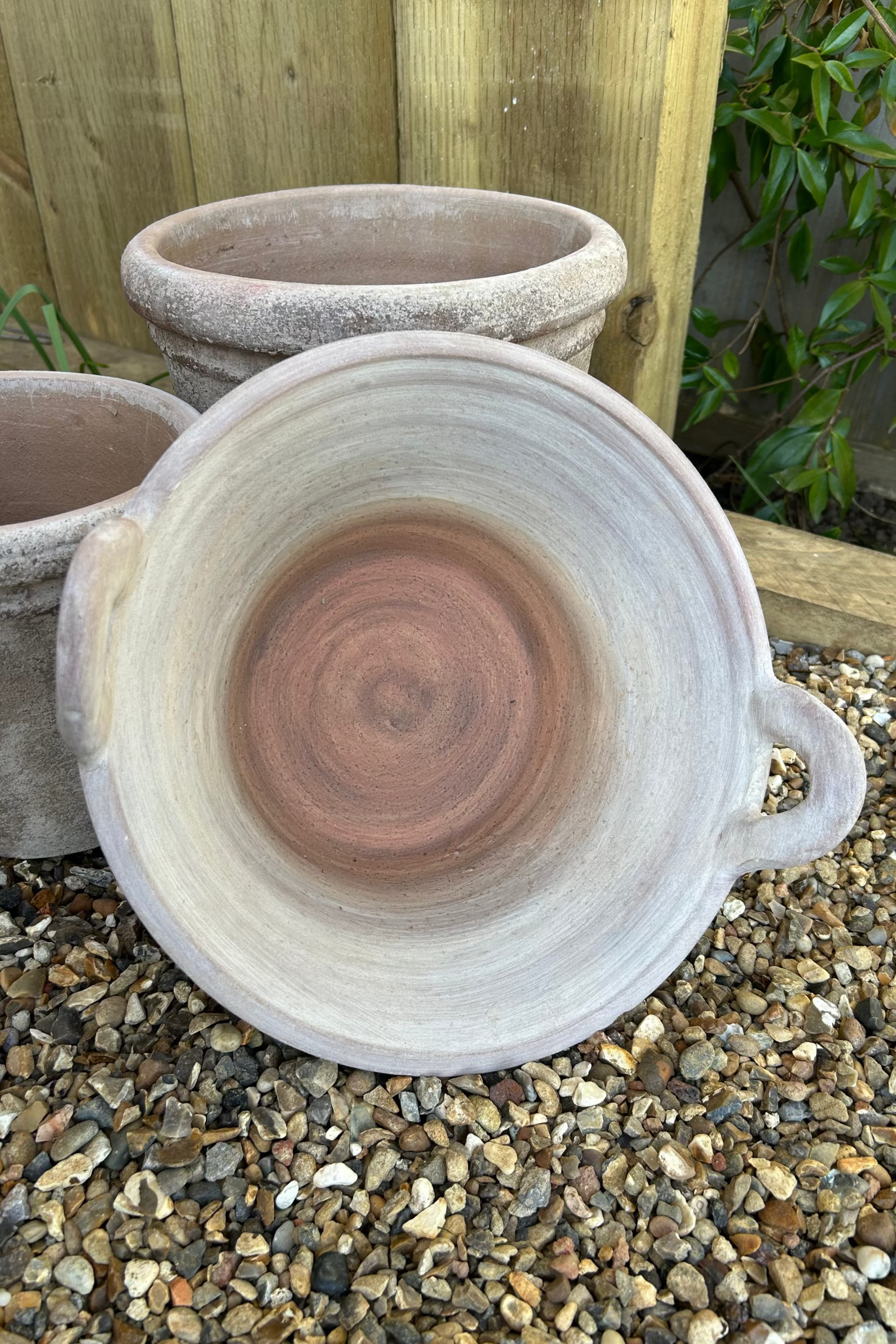 Terracotta Bowl With Handles RTfact Flowers 