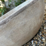 Terracotta Bowl RTfact Flowers 