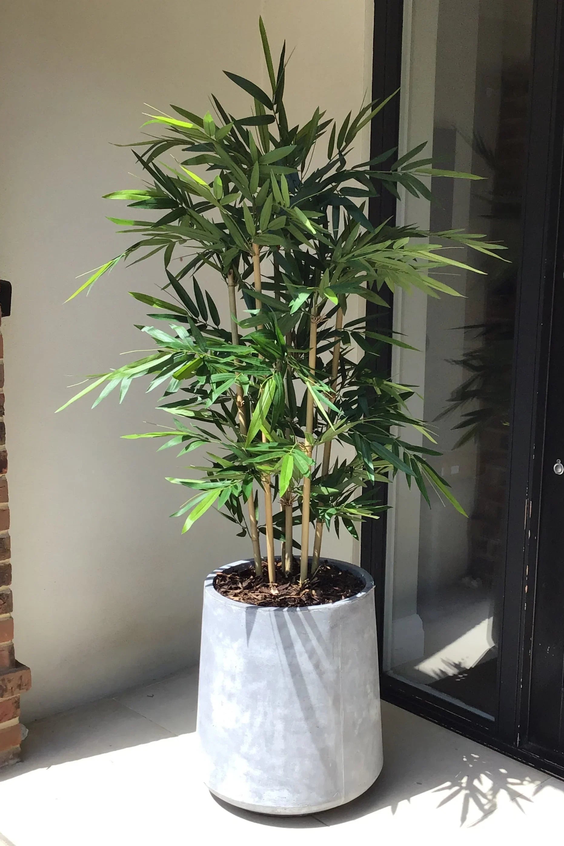 Artificial Bamboo Tree (Phyllostachys) RTfact Flowers 