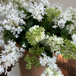 Lilac in a Terracotta Pot RTfact Flowers 