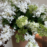 Lilac in a Terracotta Pot RTfact Flowers 