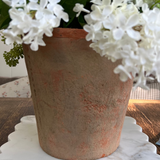 Lilac in a Terracotta Pot RTfact Flowers 