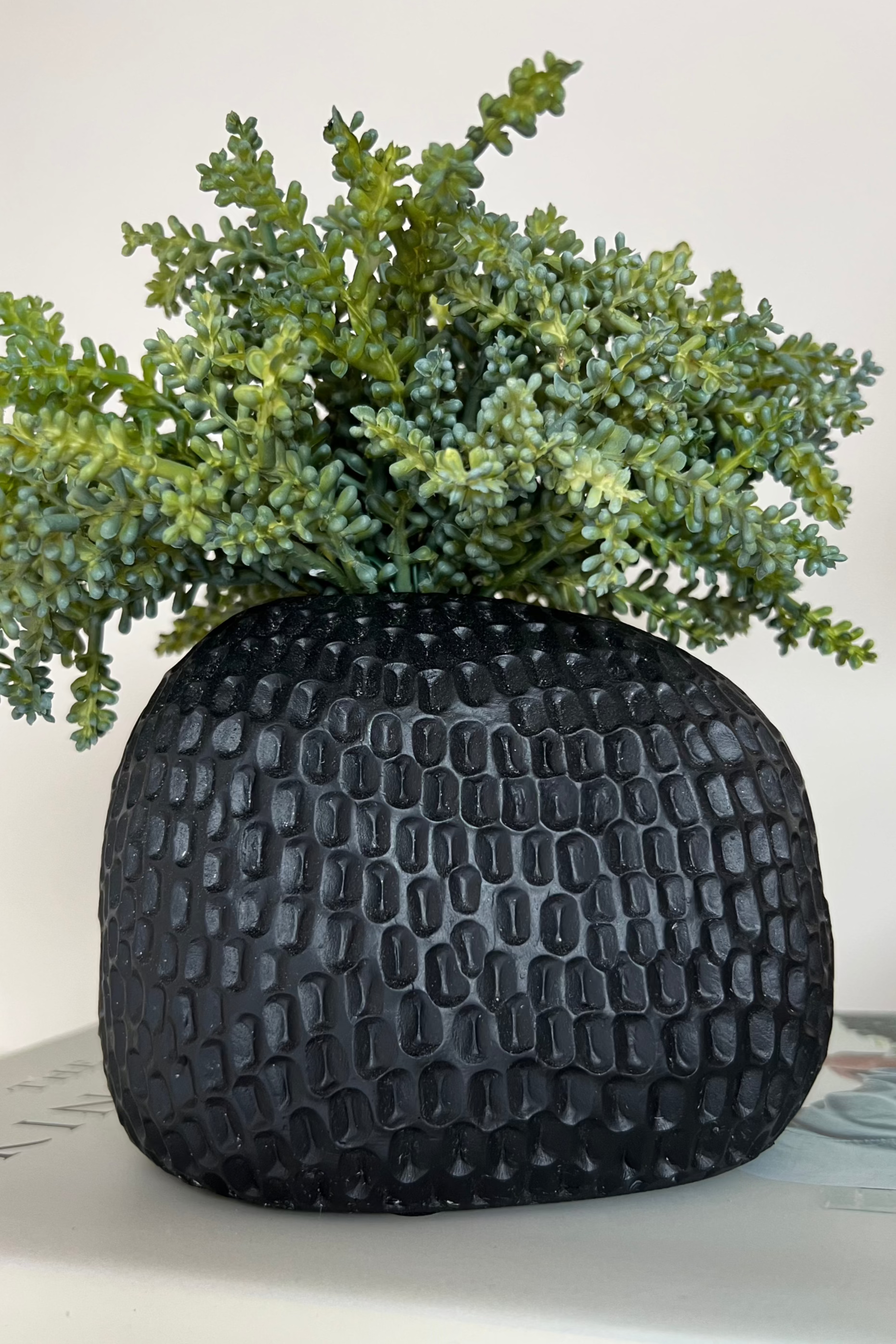 Mini Plant in a Dimpled Black Vase RTfact Flowers 