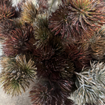 Pine Spray and Twigs in a Stone Pot RTfact Flowers 