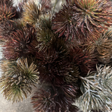 Pine Spray and Twigs in a Stone Pot RTfact Flowers 