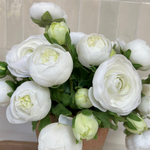 Ranunculus in an Antique Terracotta Pot RTfact Flowers 