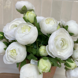 Ranunculus in an Antique Terracotta Pot RTfact Flowers 