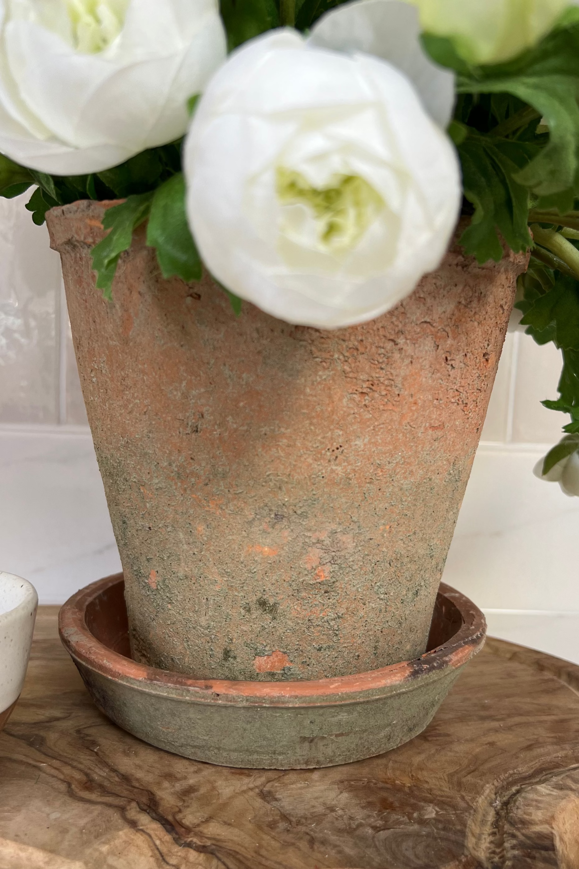 Ranunculus in an Antique Terracotta Pot RTfact Flowers 
