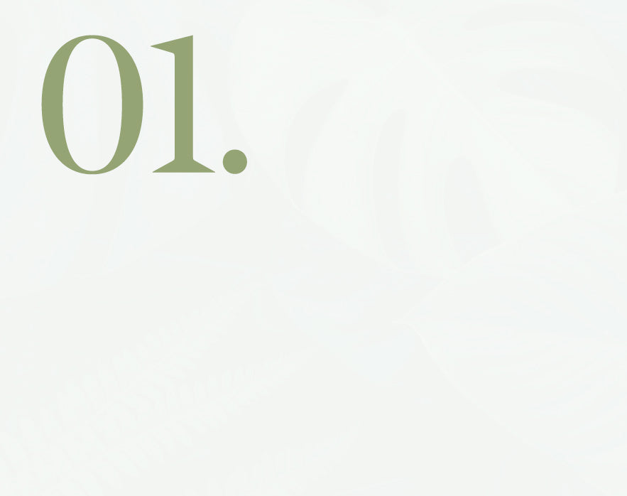 Number '01' in green on a white background