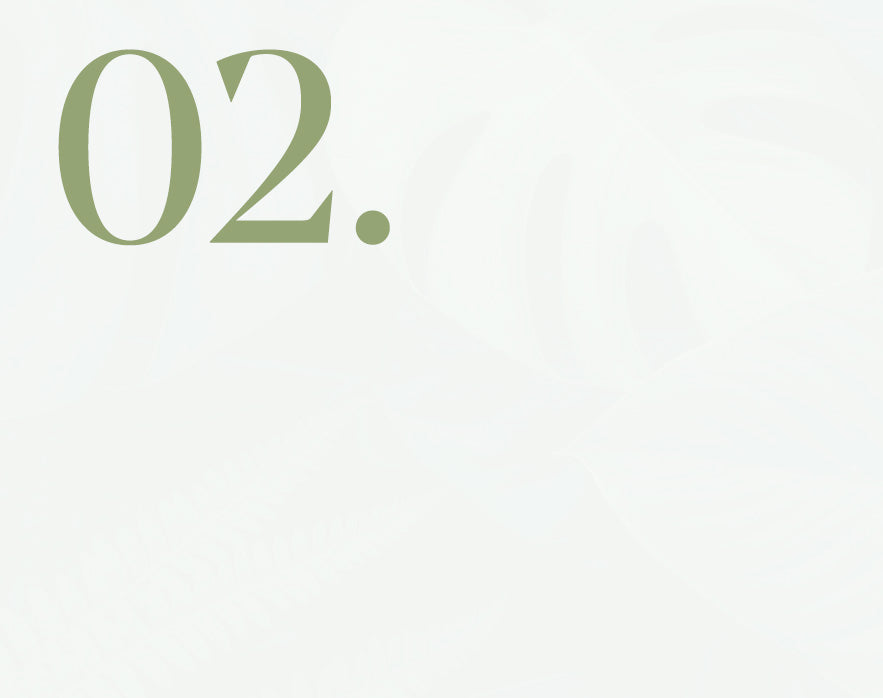 Number '02.' in green on a white background