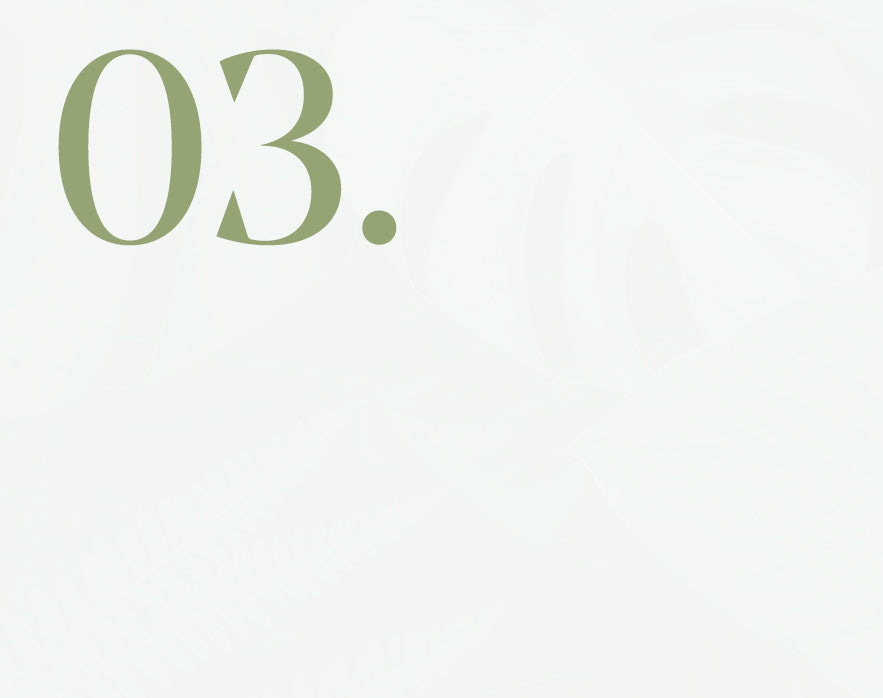 Number '03' in green on a white background