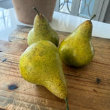 Pear conference feel real h12cm green RTfact Flowers 