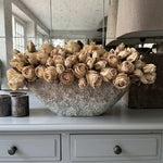 Roses (Champagne) in a Hand Painted Stone Boat RTfact Flowers 