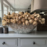 Roses (Champagne) in a Hand Painted Stone Boat RTfact Flowers 