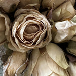 Roses (Champagne) in a Hand Painted Stone Boat RTfact Flowers 