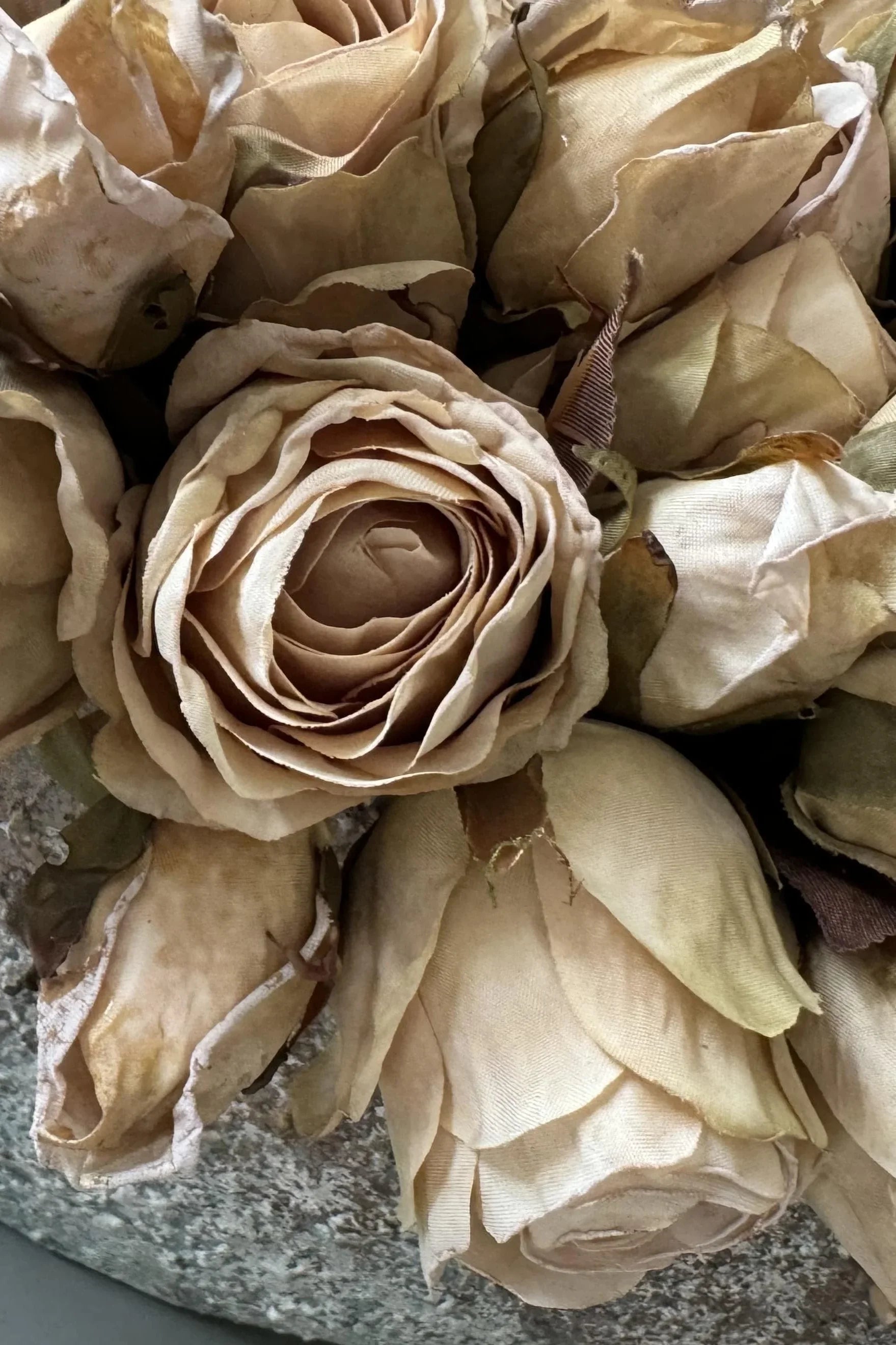 Roses (Champagne) in a Hand Painted Stone Boat RTfact Flowers 