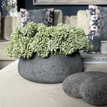Angelica in a Dark Grey Mottled Stone Bowl RTfact Flowers 
