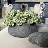 Angelica in a Dark Grey Mottled Stone Bowl RTfact Flowers 