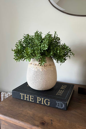 Faux Teabush in a Cream Ceramic Vase
rtgact