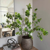 Enkianthus in a Pewter Textured Vase