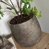 Enkianthus in a Pewter Textured Vase