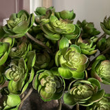 Succulent in a Handpainted Bronze Vase