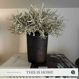 Curly Grass in a Black Clay Pot