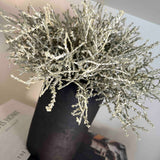 Curly Grass in a Black Clay Pot