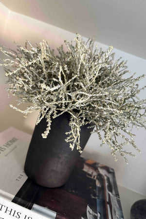 Curly Grass in a Black Clay Pot