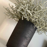 Curly Grass in a Black Clay Pot
