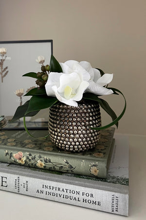 Vanda Orchid and Ivy in a Dotty Vase