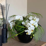 Orchids with Fern and Dianthus  in a Black Goldfish Bowl