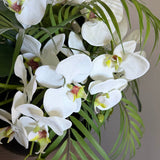 Orchids with Fern and Dianthus  in a Black Goldfish Bowl