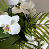 Orchids with Fern and Dianthus  in a Black Goldfish Bowl