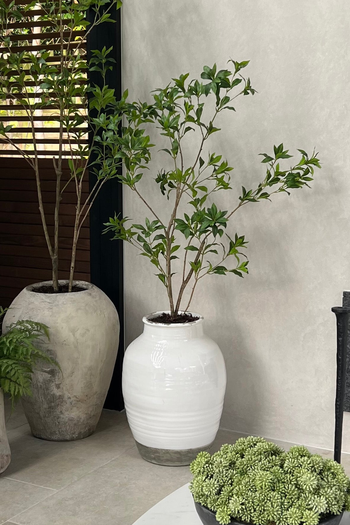 Artificial tree in a white vase with green plant against a neutral wall