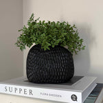 Black textured vase with faux green plant on top of books against a plain background