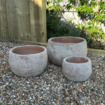 Terracotta Bowl RTfact Flowers 