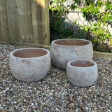 Terracotta Bowl RTfact Flowers 