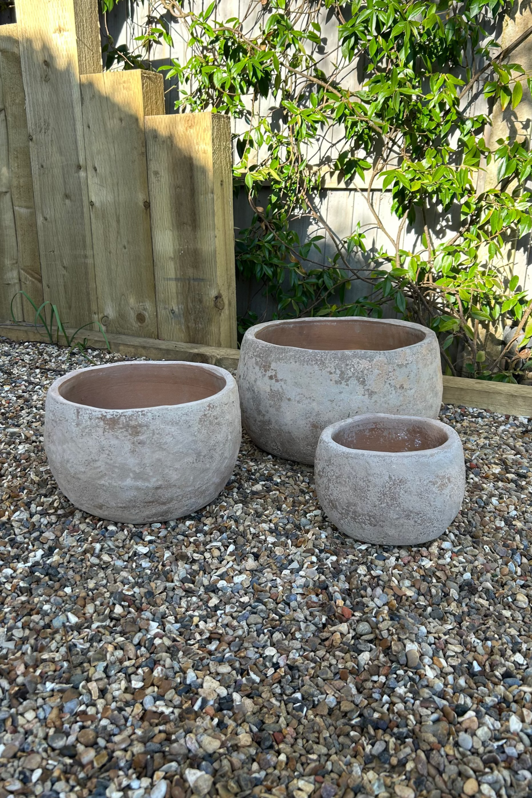 Terracotta Bowl RTfact Flowers 