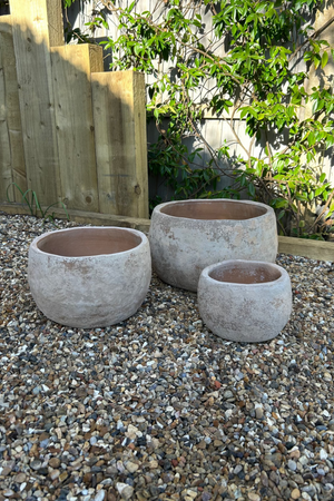 Terracotta Bowl RTfact Flowers 