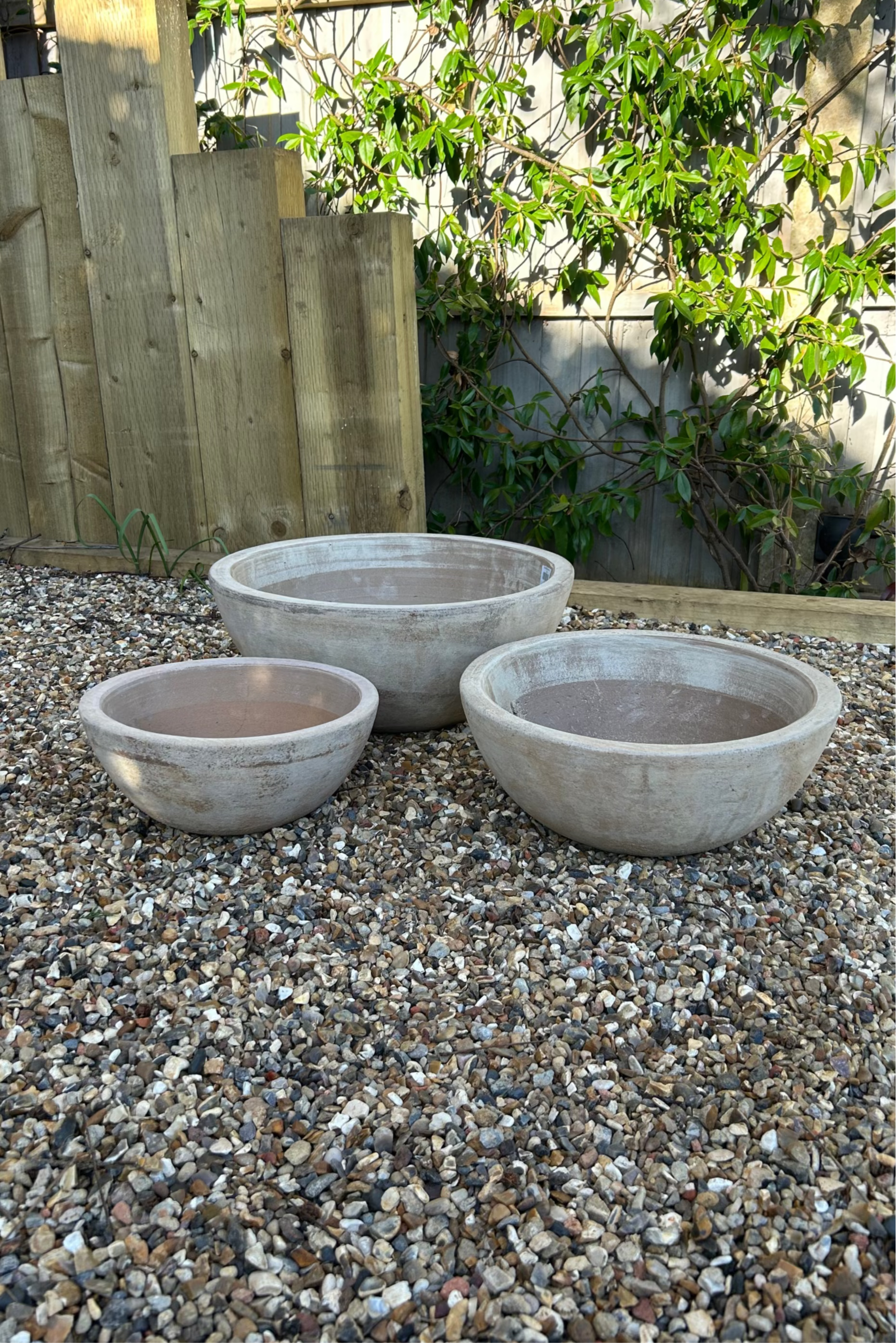 Terracotta Bowl RTfact Flowers 
