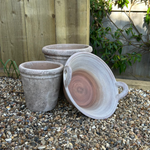 Terracotta Bowl With Handles RTfact Flowers 