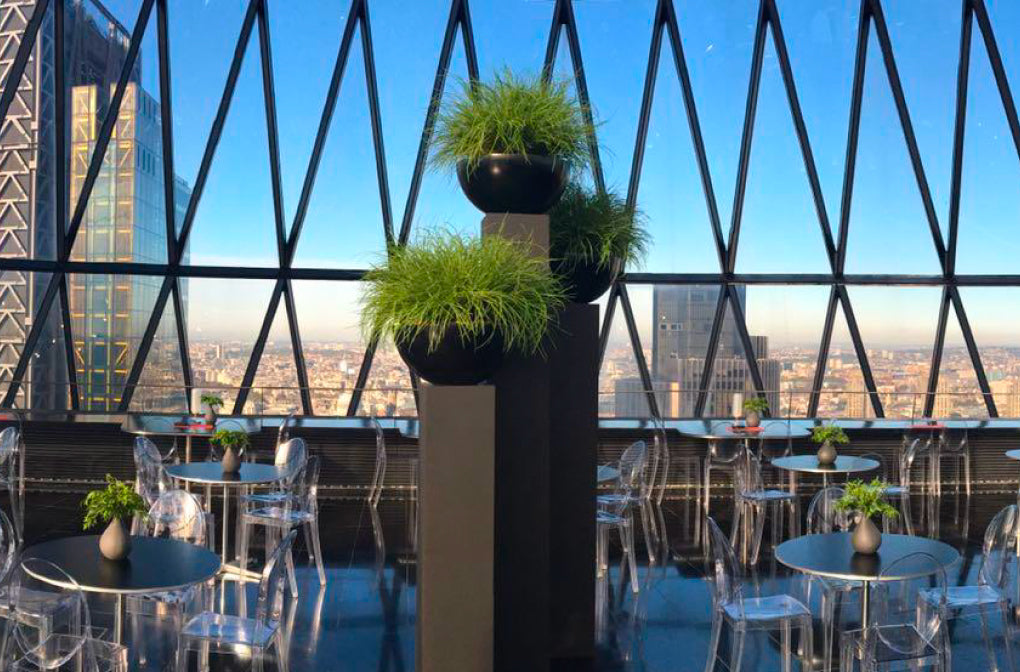 Modern indoor setting with tables, chairs, and decorative plants against a cityscape.