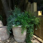 Bell Shaped Terracotta Pot RTfact Flowers 