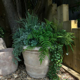 Bell Shaped Terracotta Pot RTfact Flowers 